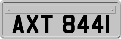 AXT8441