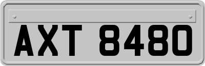 AXT8480