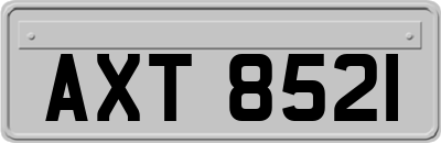 AXT8521