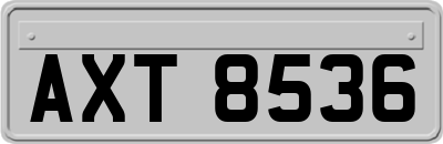 AXT8536