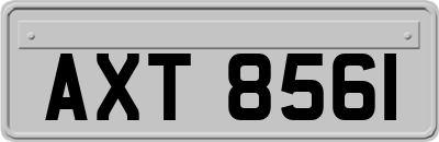 AXT8561