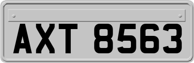 AXT8563