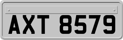 AXT8579