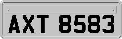 AXT8583
