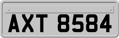 AXT8584