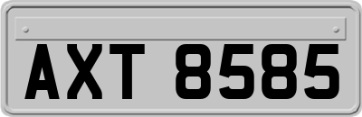 AXT8585