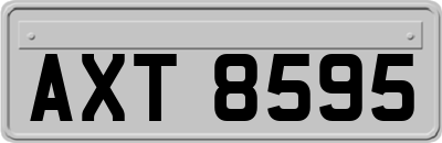 AXT8595