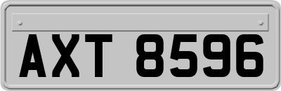 AXT8596