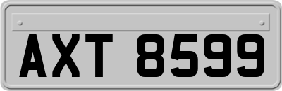 AXT8599