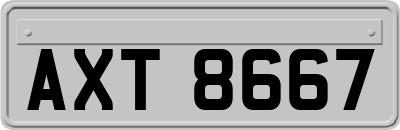 AXT8667