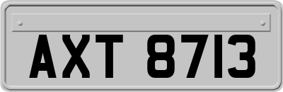 AXT8713