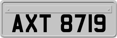 AXT8719