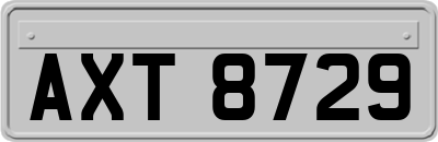 AXT8729