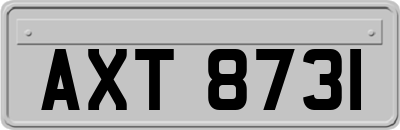 AXT8731