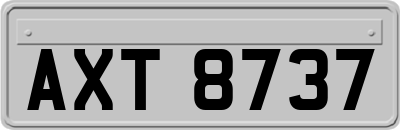 AXT8737