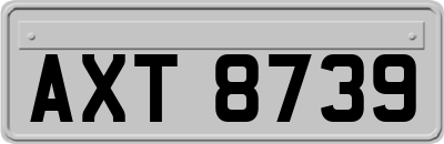 AXT8739