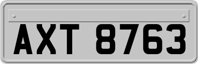AXT8763