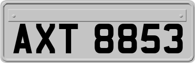 AXT8853