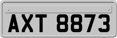 AXT8873