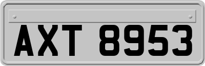 AXT8953