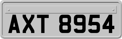 AXT8954
