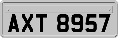 AXT8957