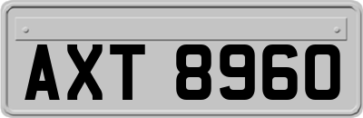 AXT8960