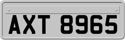 AXT8965