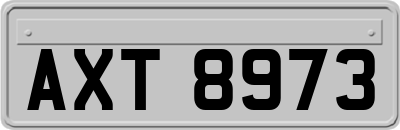 AXT8973