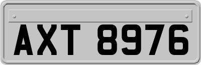AXT8976