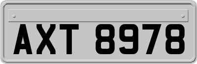 AXT8978