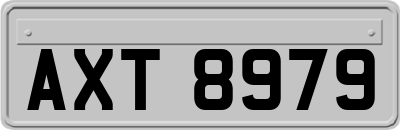 AXT8979