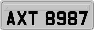AXT8987