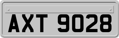AXT9028