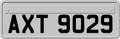 AXT9029
