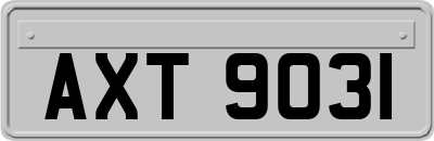 AXT9031