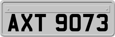 AXT9073
