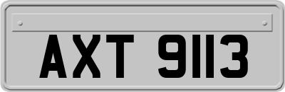AXT9113