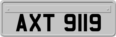 AXT9119