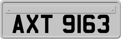 AXT9163