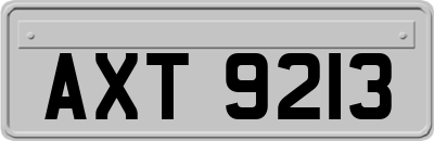 AXT9213