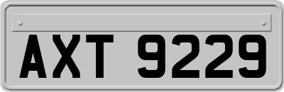 AXT9229