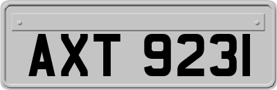 AXT9231