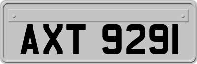 AXT9291