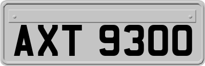 AXT9300