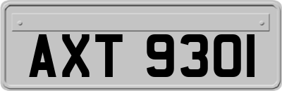 AXT9301