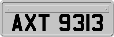 AXT9313