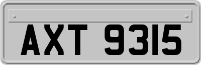 AXT9315