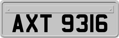 AXT9316