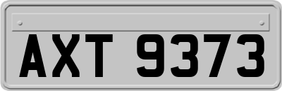 AXT9373